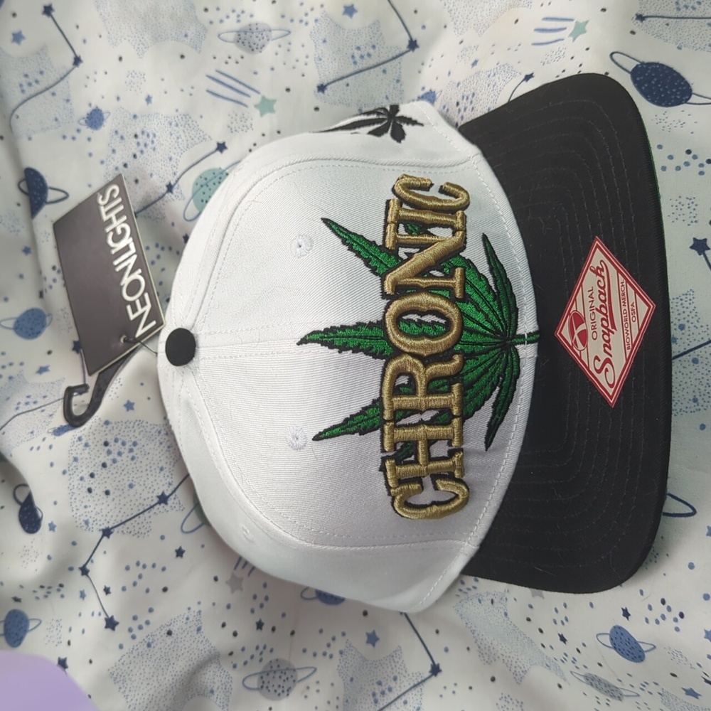 Snapback Hat with Embroidered Leaf Design